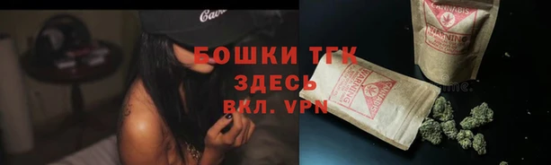мдпв Волоколамск
