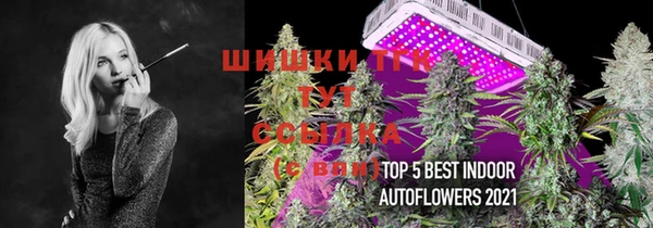 стафф Верхний Тагил