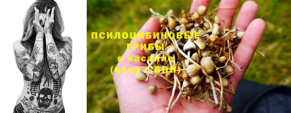 ешки Володарск