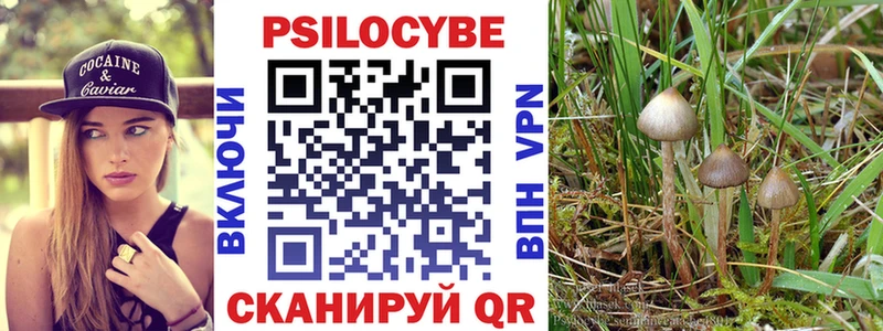 Псилоцибиновые грибы мицелий  Качканар 
