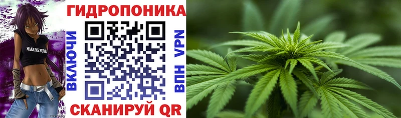 Каннабис OG Kush kraken ССЫЛКА Качканар наркота
